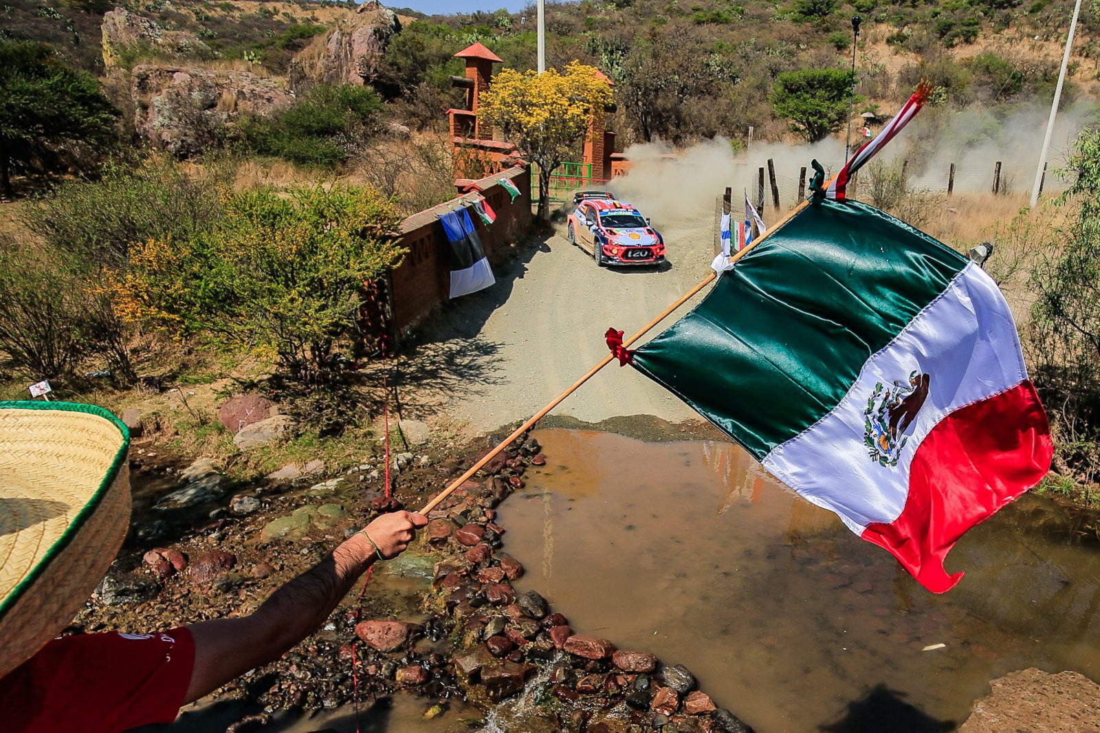 GRANDES CAMBIOS EN LA TEMPORADA 2020 DEL WRC