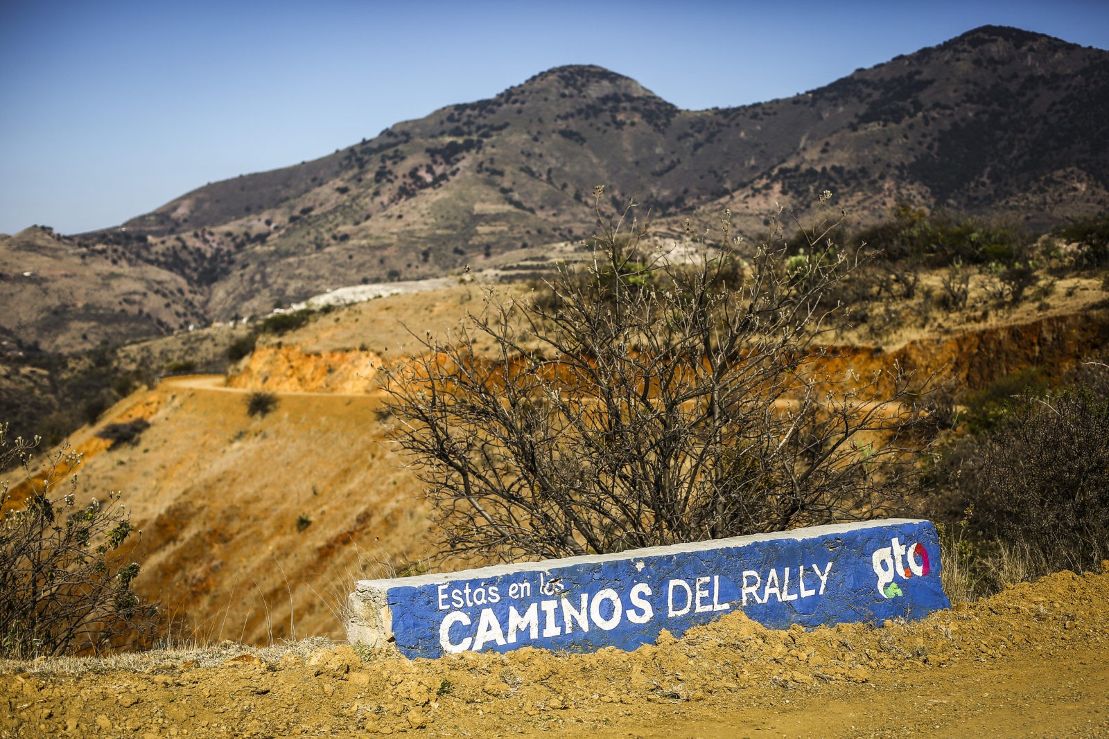 20 historias del Rally de México #1 - 2004. La primera vez