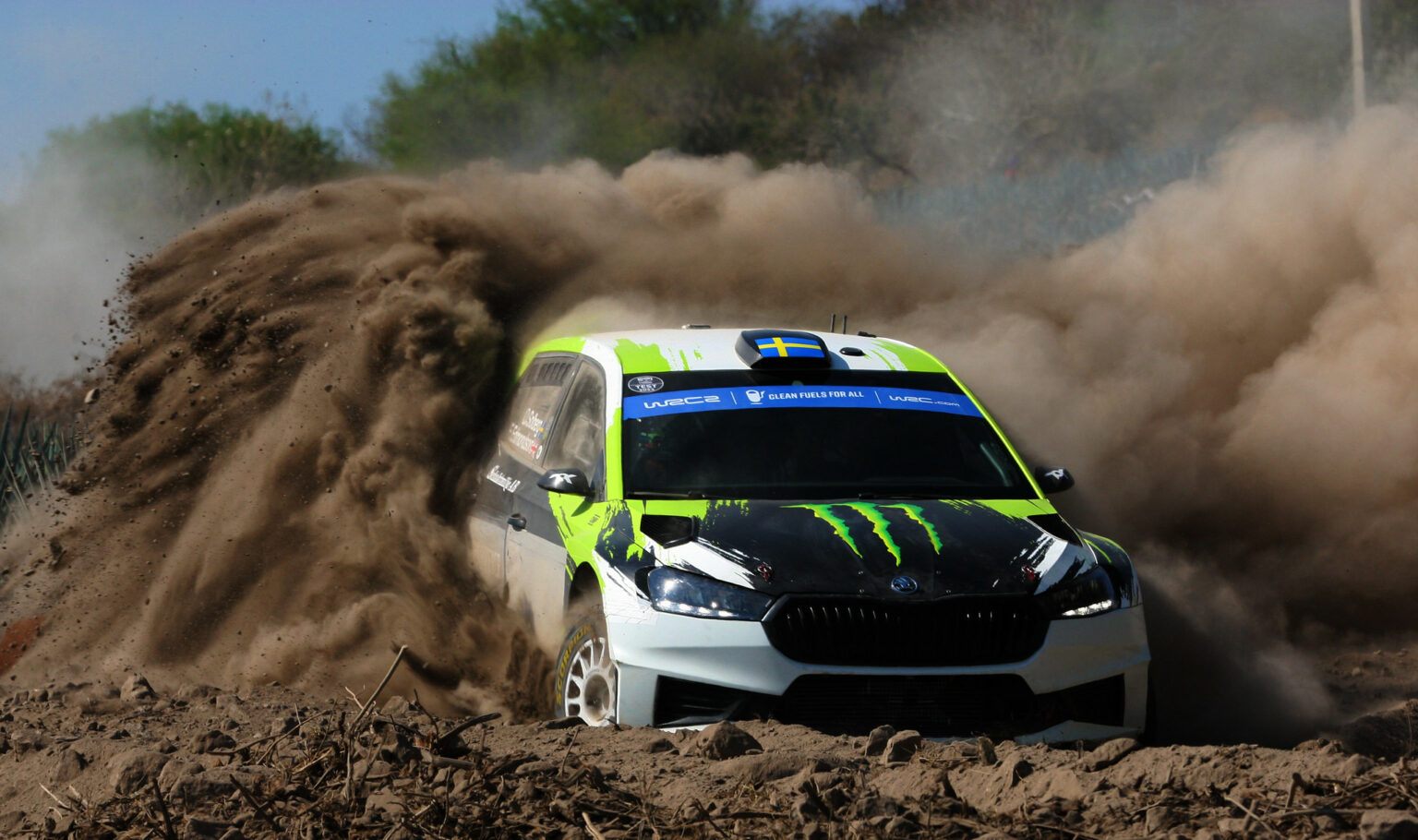 oliver solberg in rally mexico